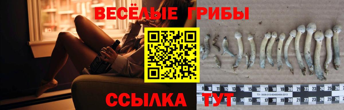Бошки Шишки  Можайск  МЕФ кристаллы  ГАШИШ  Вход с VPN  Лсд 25 